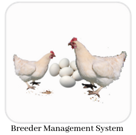Breeder Management System