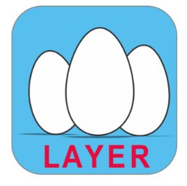 Layer Management System